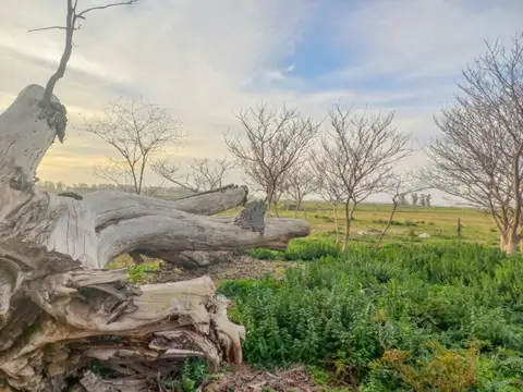 Terreno en Venta en San Andres De Giles, USD 210.000