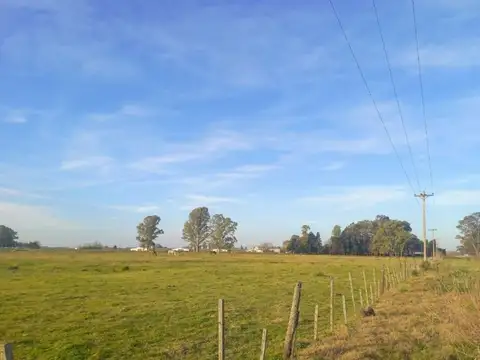 Terreno en Venta de 140000,0 m2