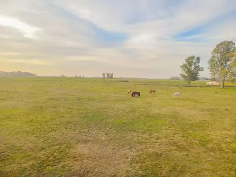 Terreno en Venta en San Andres De Giles, USD 210.000