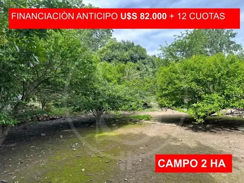 CAMPO 2 HECTAREAS CON CASA EXALTACION DE LA CRUZ