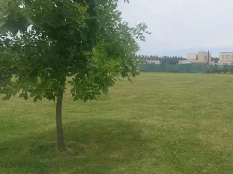 Terreno en Venta de 681,0 m2