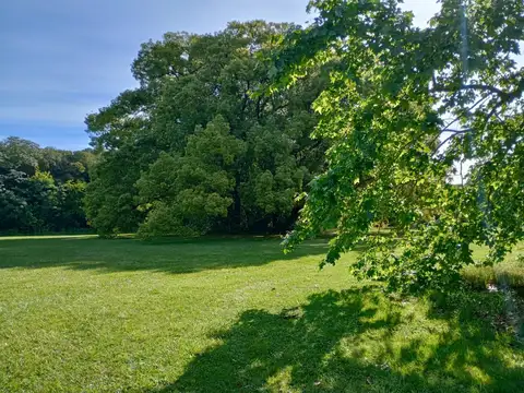 Terreno en venta - 25.000Mts2 - Estancia Benqueria, Monte