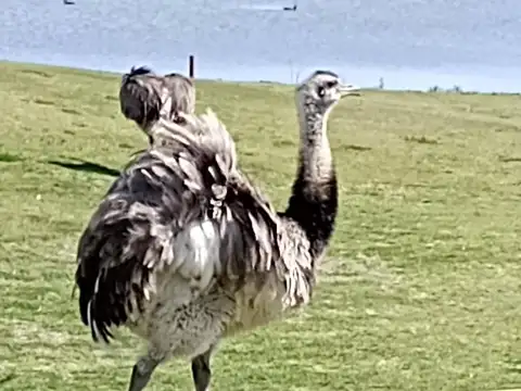 Terreno en Venta en Monte Grande, USD 53.000