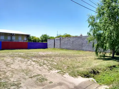 Las Orquideas al 300