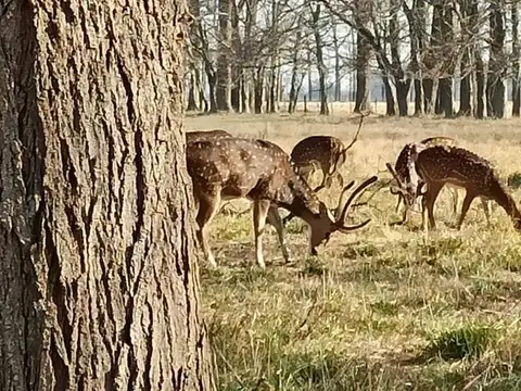 VENTA LOTE CHACRAS DE LA ALAMEDA