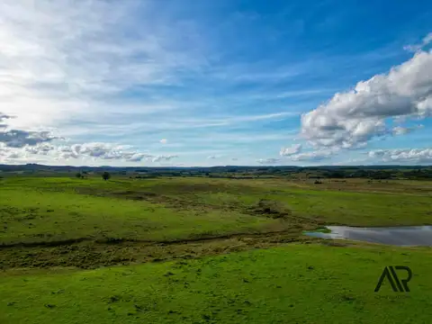 Chacras de 3ha/61 ha en Garzón, con caminería y luz en la portera.