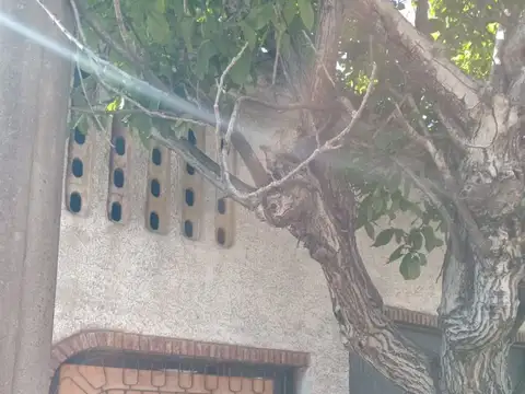 Lote con estructura de losa 300 m2