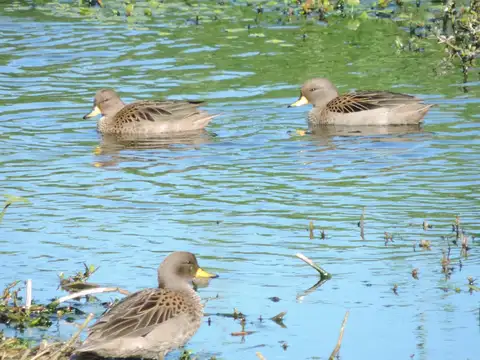 LOTE A LA LAGUNA  EXCELENTE UBICACION  AZZURRA - Lanzamiento nuevo sector 