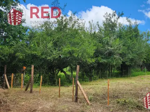 PRADO DE LA RIVERA.  AGUA DE ORO