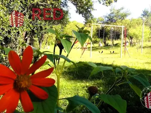 PRADO DE LA RIVERA.  AGUA DE ORO