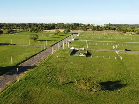 501y161 (SENDEROS) ABIERTO (F.18-L.3)