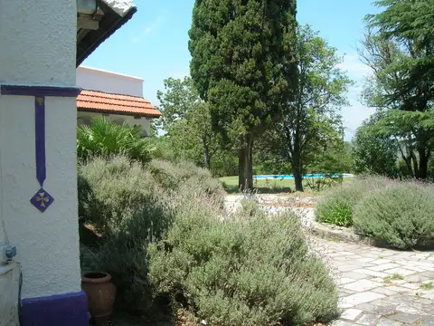 Casa en Venta de 9 dormitorios