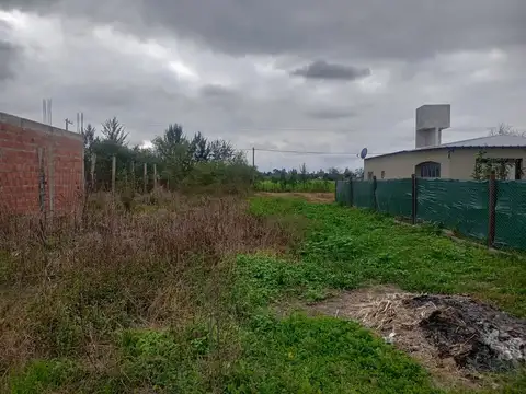 Cerrillos. La Secundina. Mza 3. Lote 100