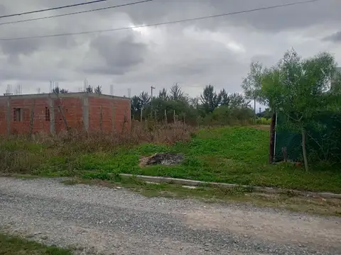 Cerrillos. La Secundina. Mza 3. Lote 100