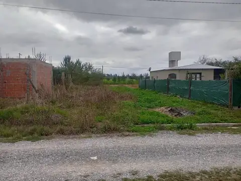 Cerrillos. La Secundina. Mza 3. Lote 100