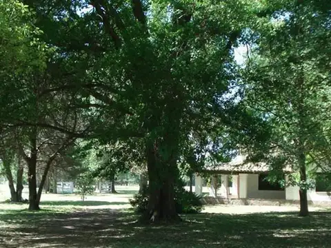 Terreno en Venta de 1000,0 m2