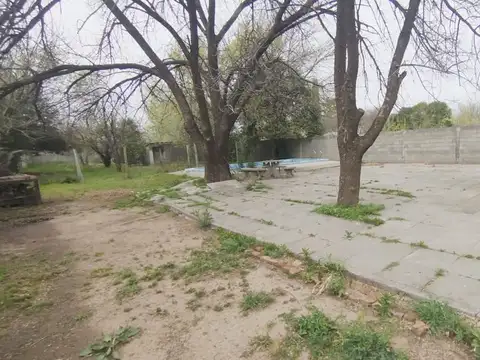 de los venecianos 6500