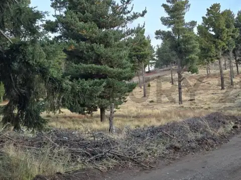 Los Nogales , Piso 0