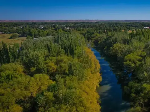Barrio Botánico, La Reserva