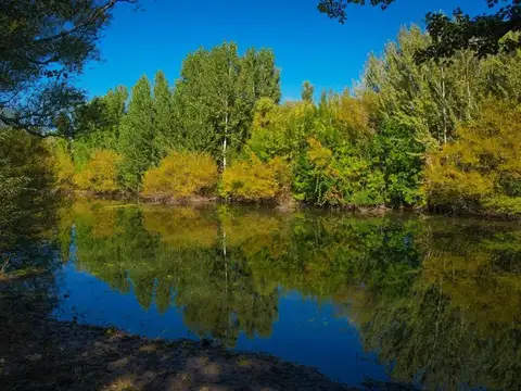 LA RESERVA / Barrio Botánico.