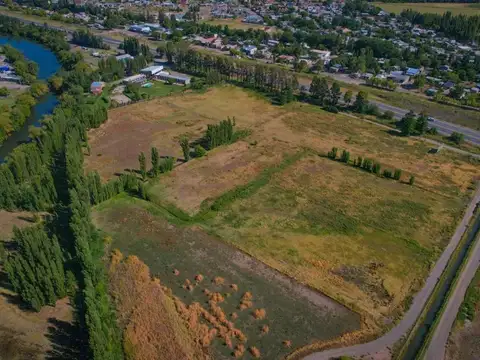 Barrio Botánico, La Reserva