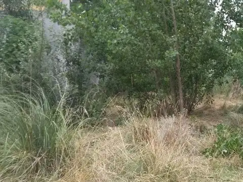 Terreno en Venta en Mar Del Tuyu, USD 27.000