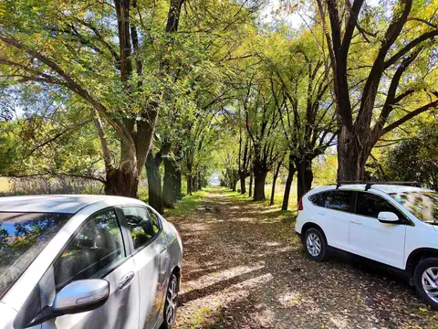 Campo en Venta con Alambrado