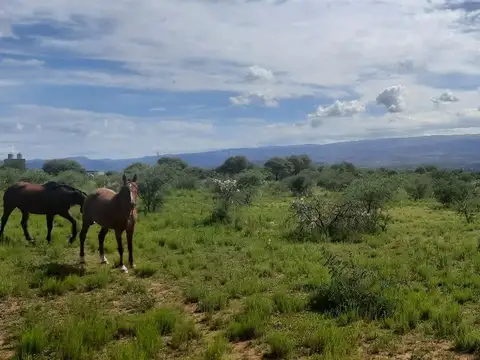 Terreno en Venta en Mina Clavero, USD 50.000