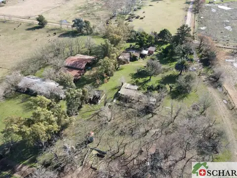 Campo en venta de 53302m2 ubicado en Olivera