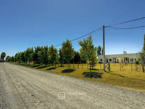 Avda Los fresnos 100