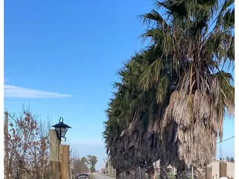 Avenida Los Fresnos y Los Jazmines