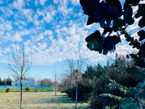 Terreno en Venta en Uribelarrea, USD 48.000