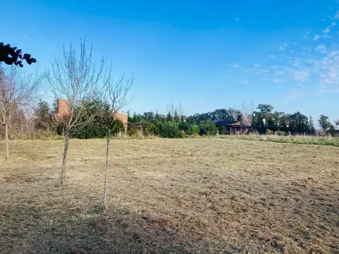 Avenida Los Fresnos y Los Jazmines