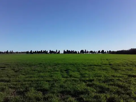 Zona Rural Del Partido De Ramallo,