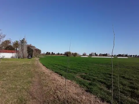 CAMPO 70 HAS EN RAMALLO AGRICOLA, INDUSTRIAL E HIDROVIA