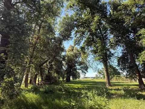 Venta terreno arbolado en El Espinillo Golf Lujan