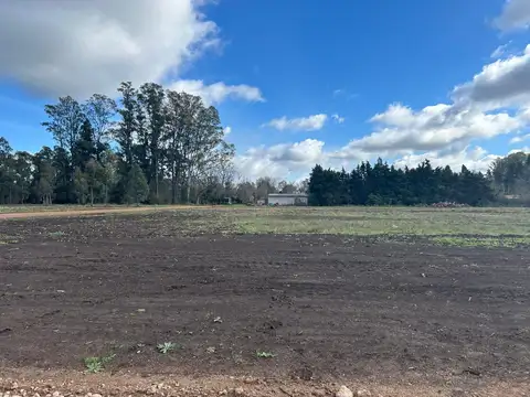 Terreno en Venta de 650,0 m2