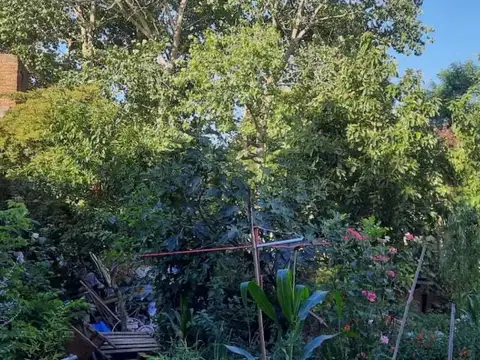 Terreno en Venta 10  mts Frente