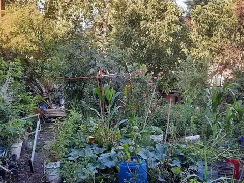 Juan Angel Peña 6900, Piso 0