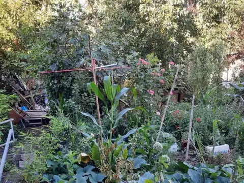 Terreno en Venta de 420,0 m2