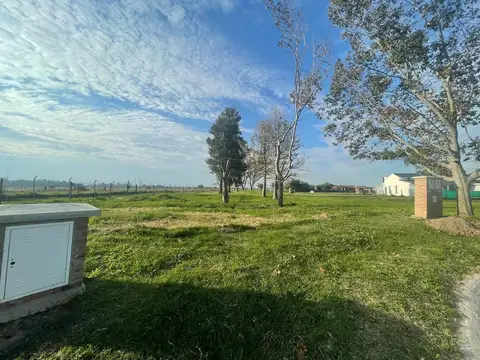 Terreno en Venta de 600,0 m2