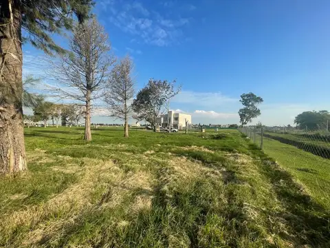 Calle El Deslinde 1100