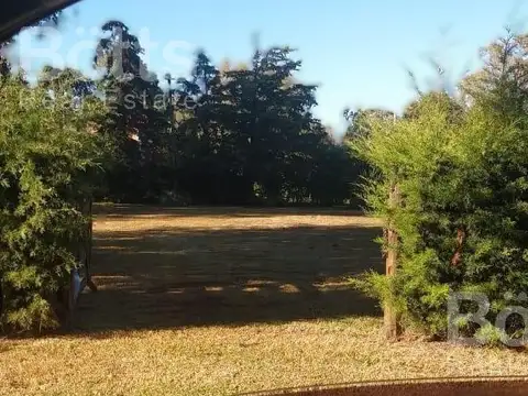 Terreno en Bosque Real