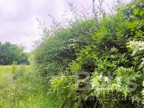 Terreno en Venta 40  mts Fondo