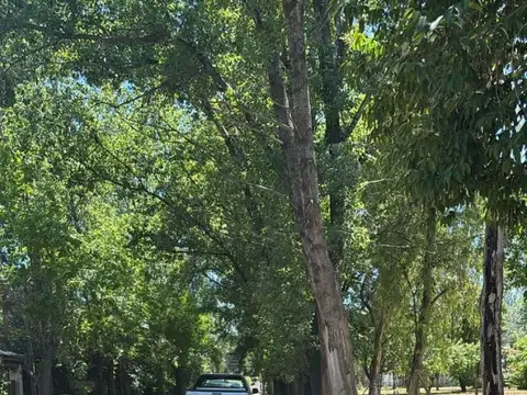 Campo Olivera Apto Loteo Todo Cerrado