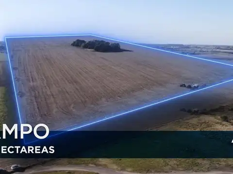 Piedrabuena y Acceso a Autopista