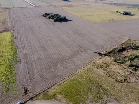 VENTA DE CAMPO - ALVEAR ZONA INDUSTRIAL