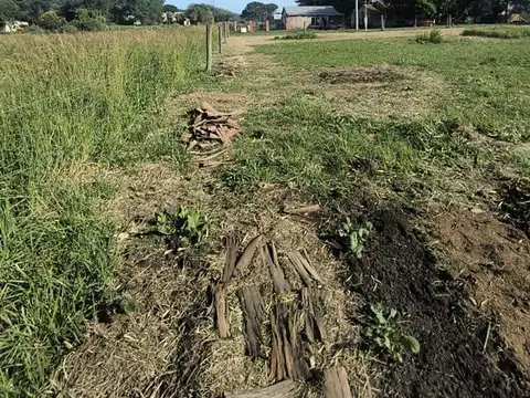 Terreno en Venta de 1605,0 m2