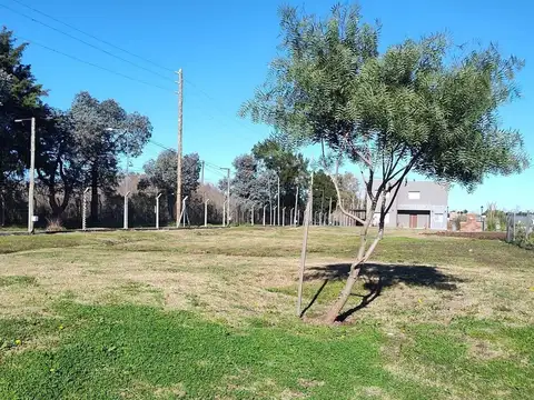 Terreno en Venta de 457,0 m2