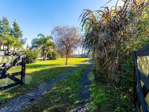 Del Pertigo Potosí 500